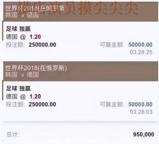 新手必看：世界杯投注平台合集用户反馈详解 + 世界杯全球总决赛